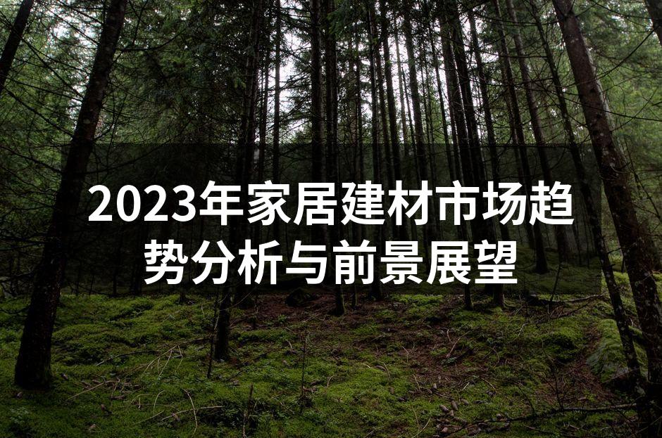 2023年家居建材市场趋势分析与前景展望